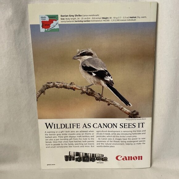 National Geographic September 2020 Meet The Robots Great Lakes'Ice Loss Ostriche - Picture 2 of 11